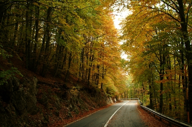 i colori di Guarcino